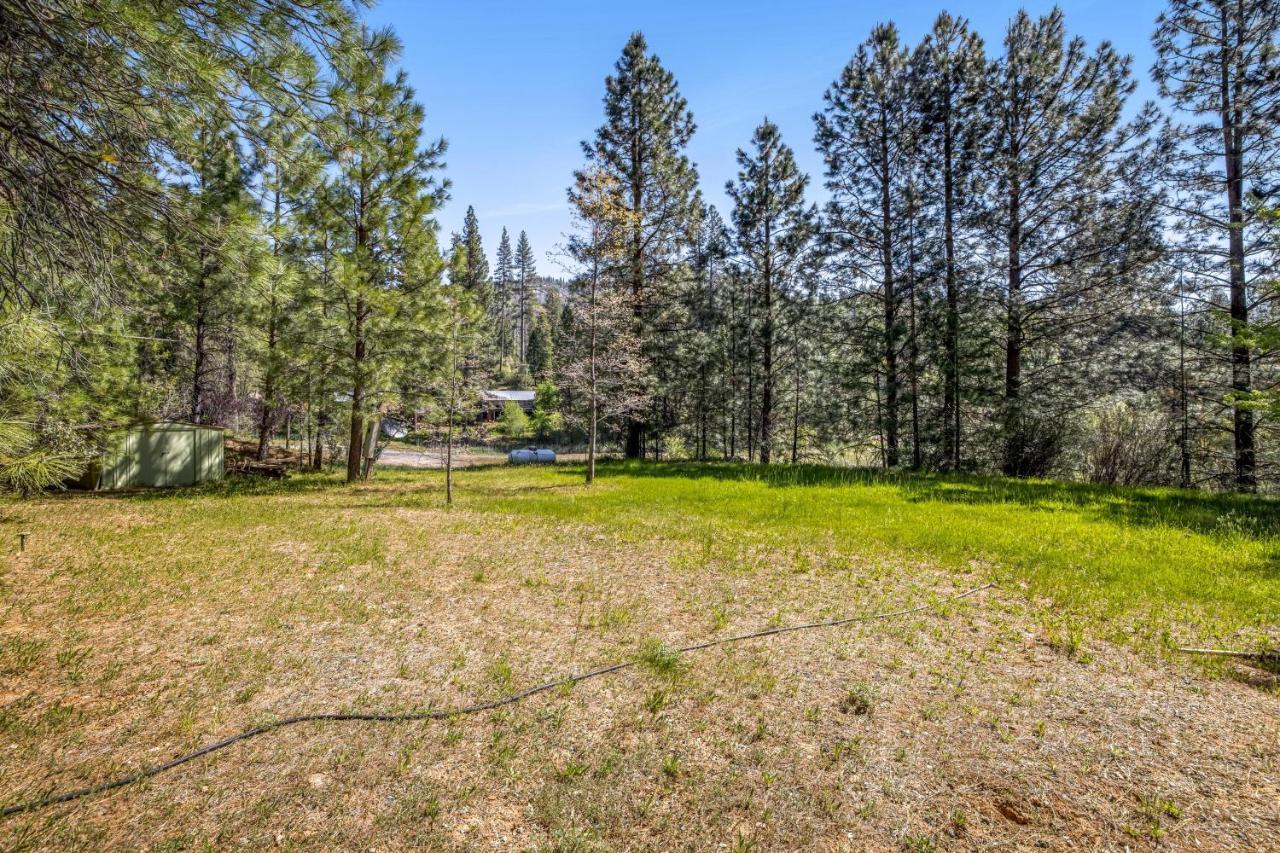 Yosemite Mountain Cottage Groveland Zewnętrze zdjęcie