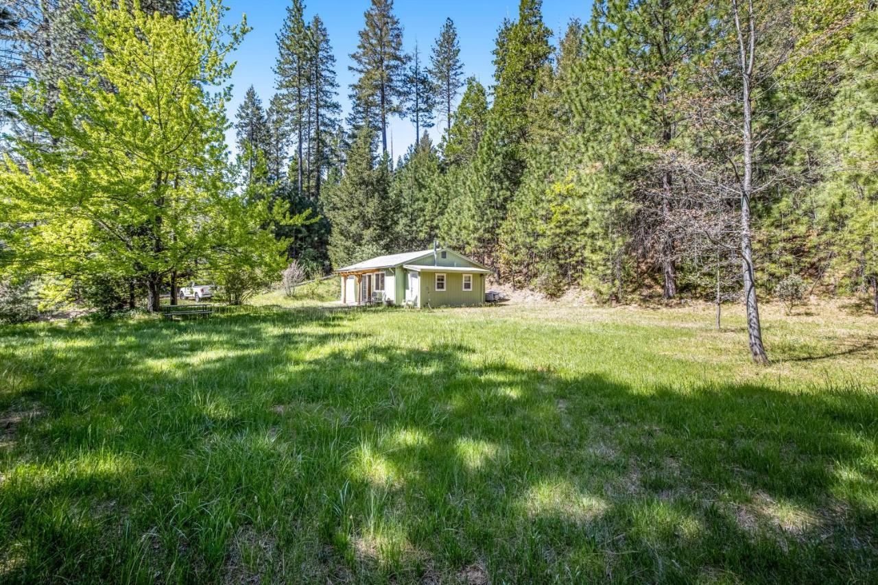 Yosemite Mountain Cottage Groveland Zewnętrze zdjęcie