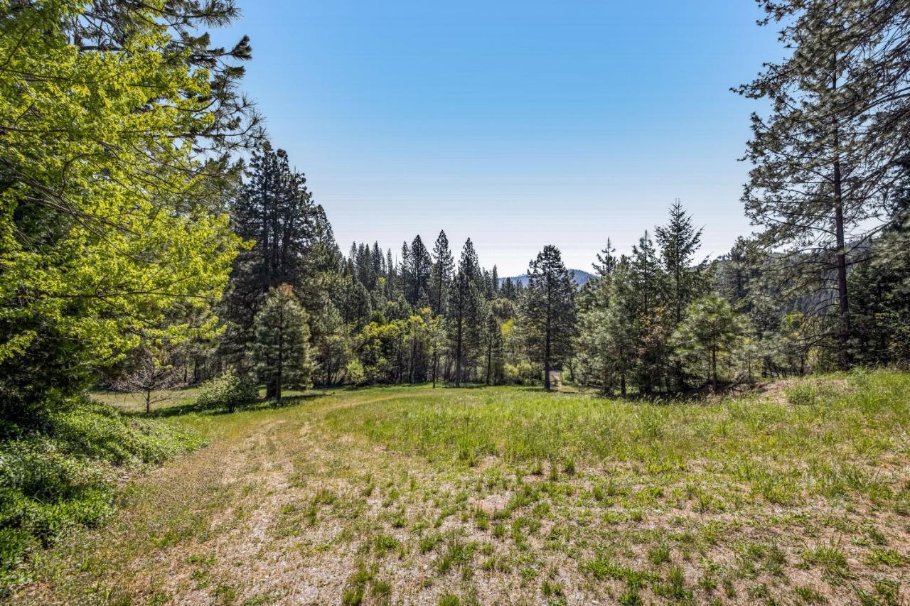 Yosemite Mountain Cottage Groveland Zewnętrze zdjęcie